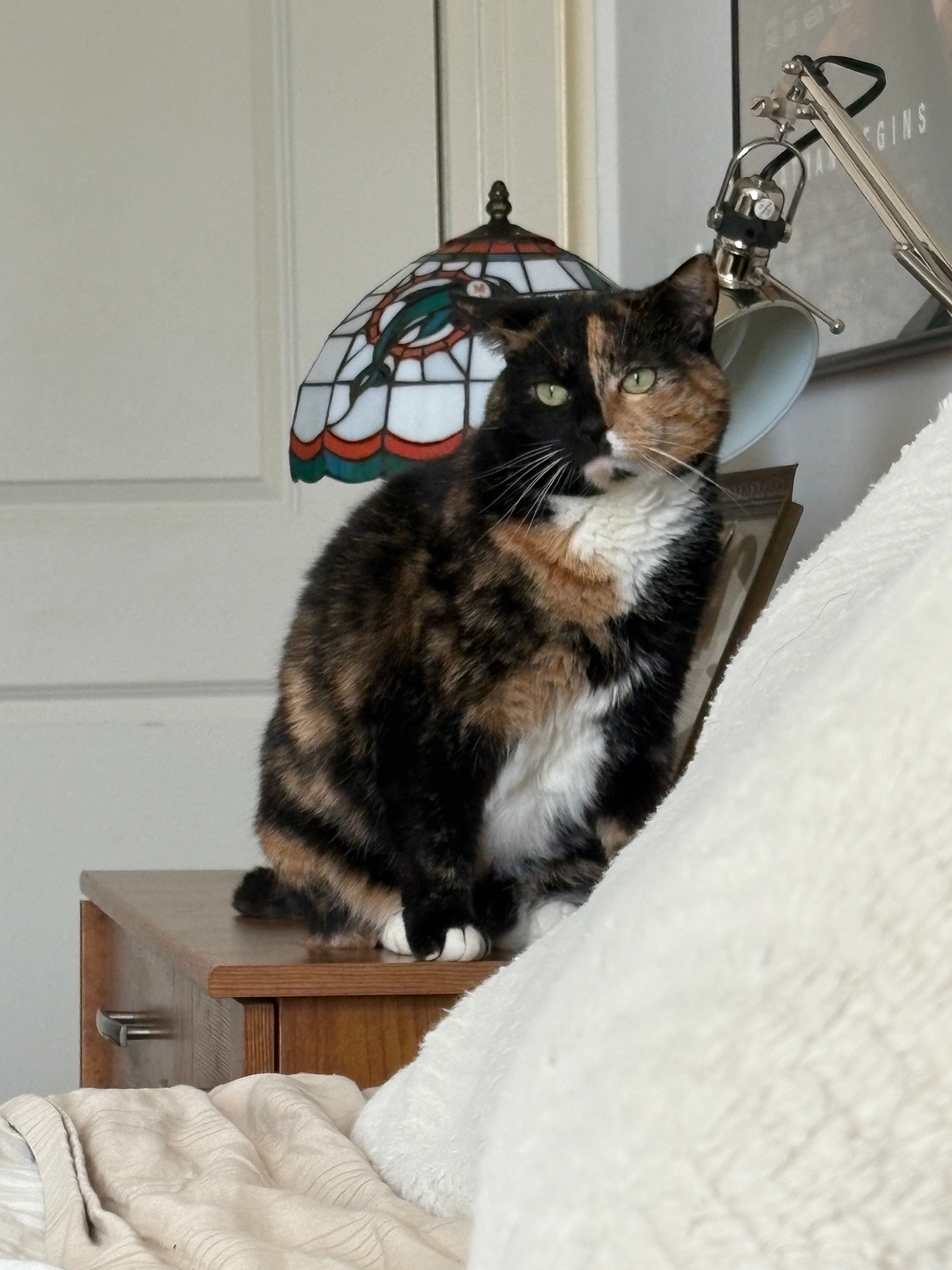 FREE! Color The Real Vesta